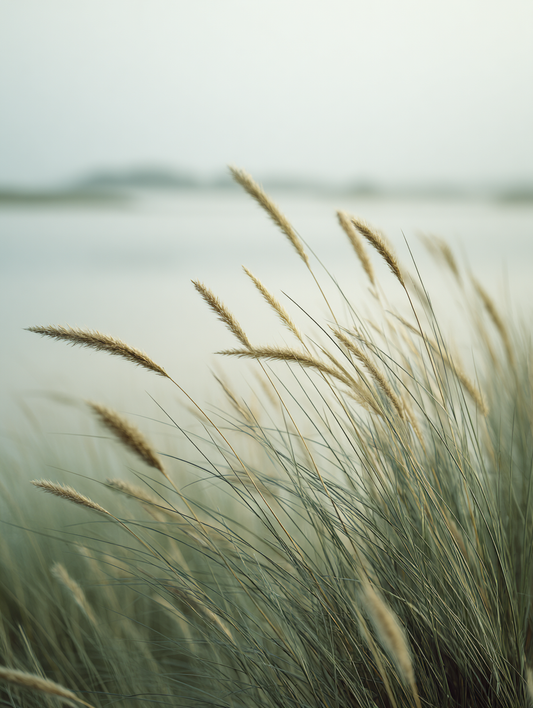 Nordic Calm – Vol. 3