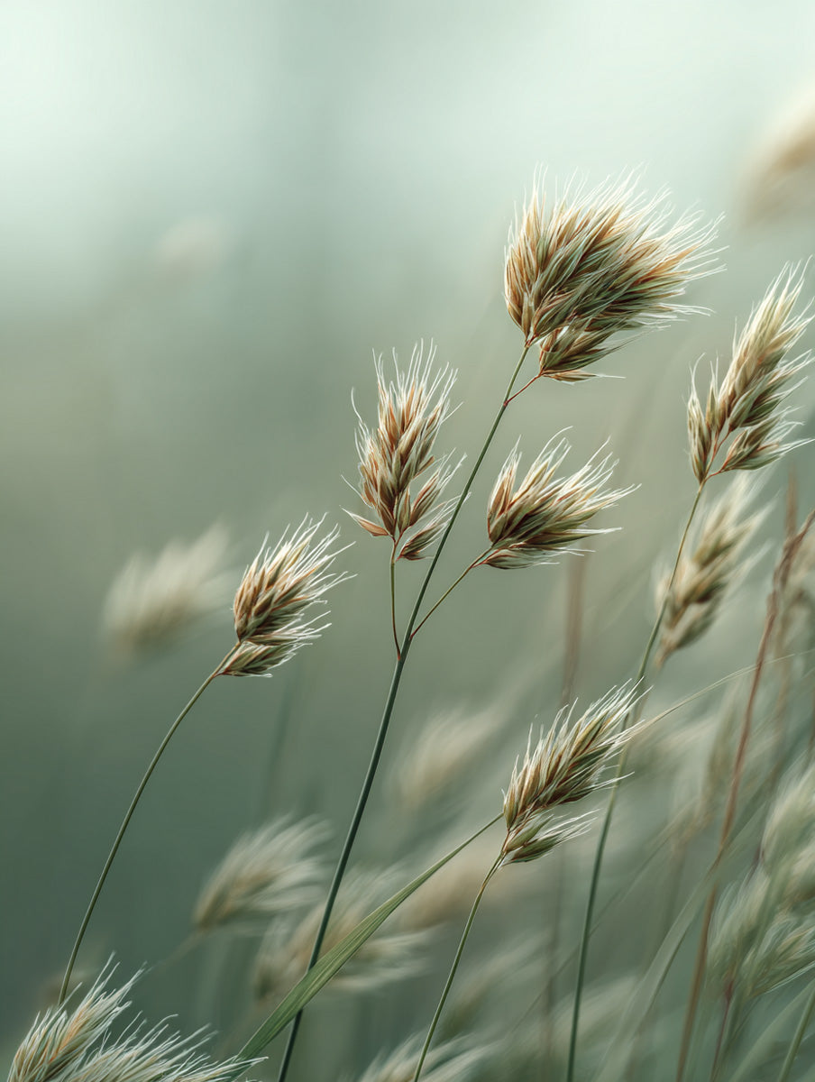 Nordic Calm – Vol. 4