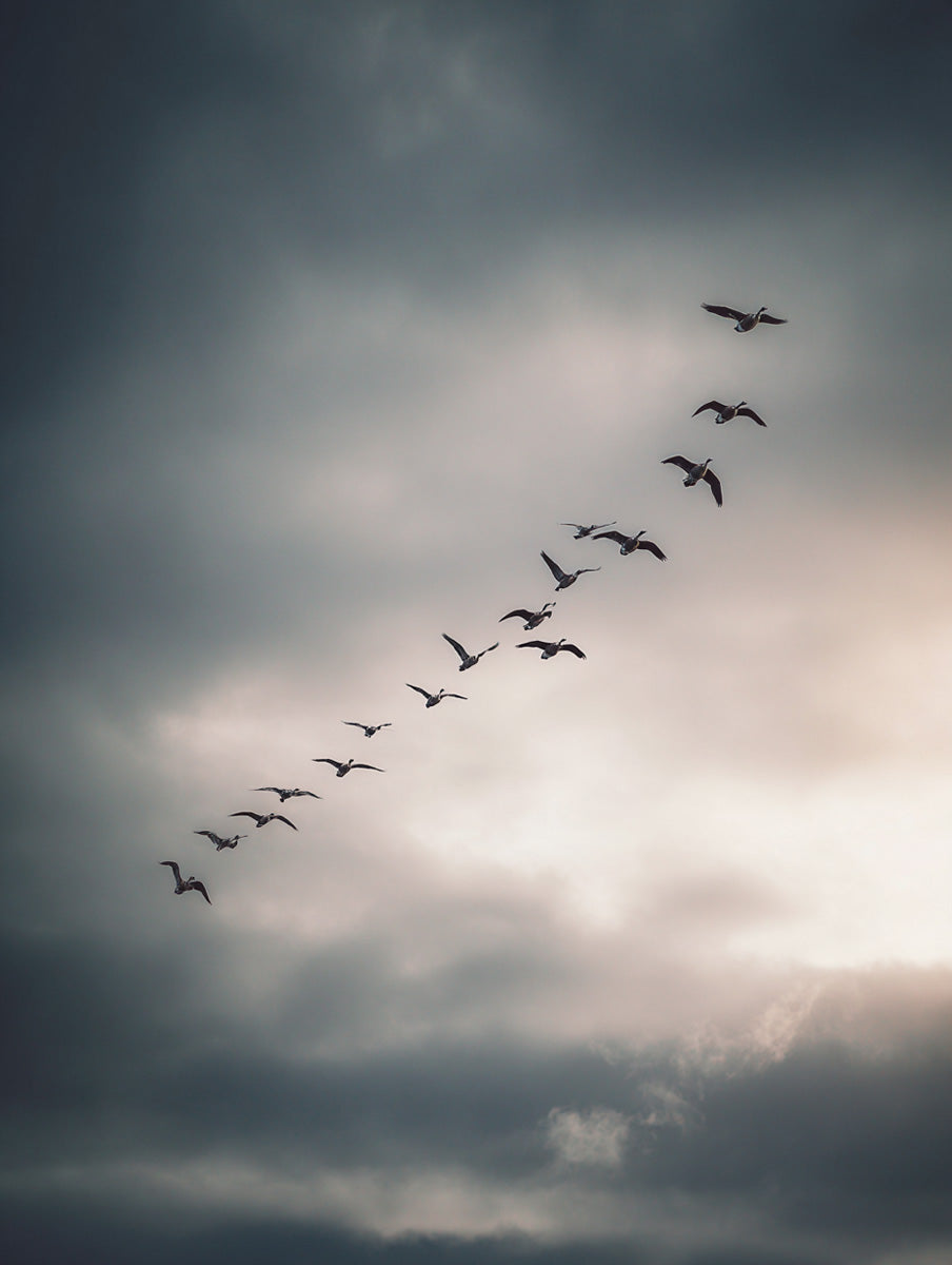 Nordic Calm – Vol. 6