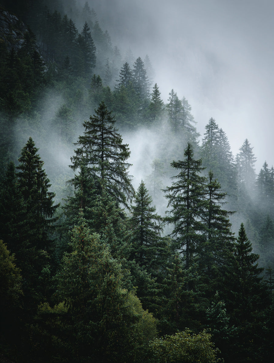 Nordic Calm – Vol. 3.1