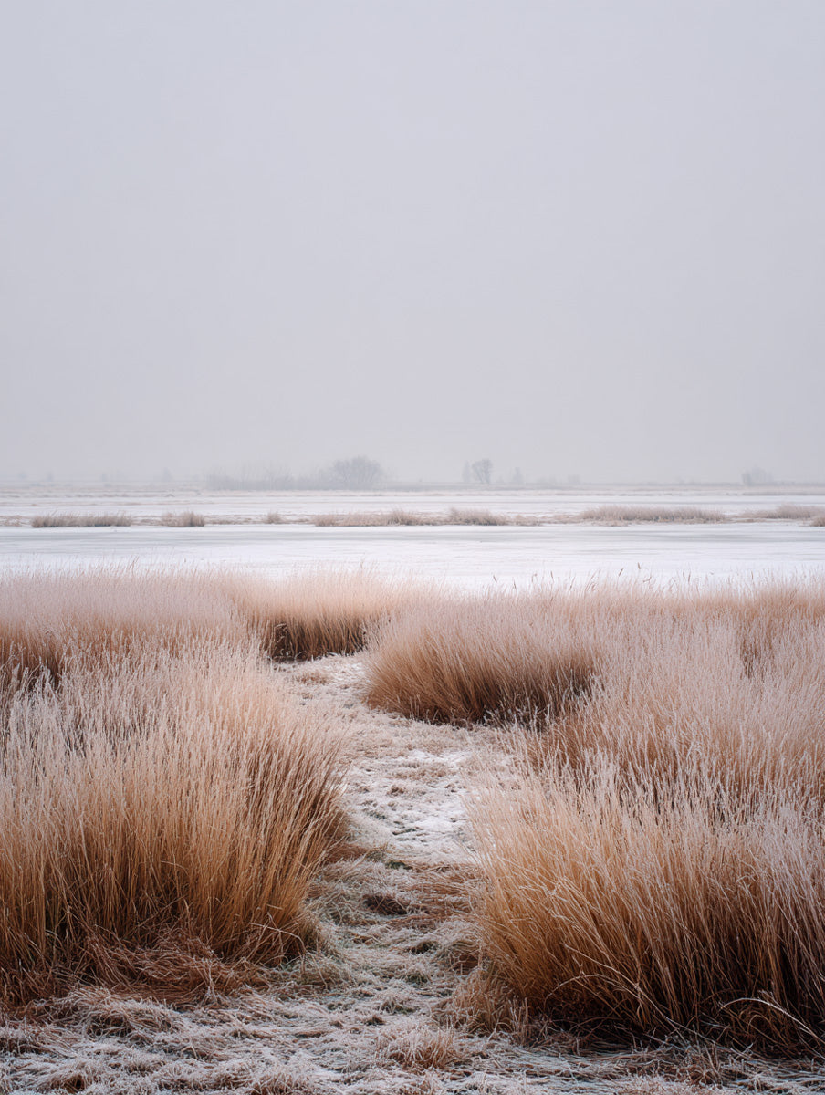 Nordic Calm – Vol. 4