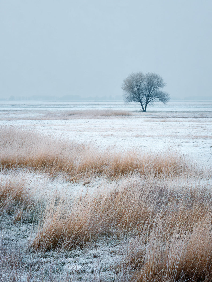 Nordic Calm Vol 9 – 25 digitale kunstverk